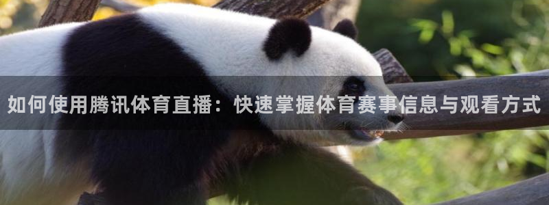 如何使用腾讯体育直播：快速掌握体育赛事信息与观看方式