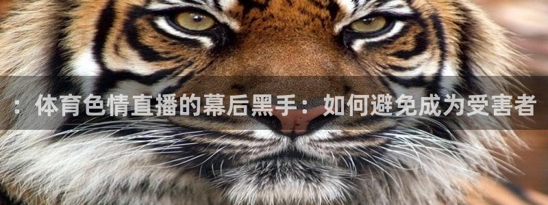 ：体育色情直播的幕后黑手：如何避免成为受害者