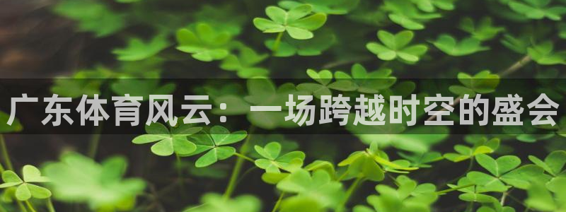 广东体育风云：一场跨越时空的盛会