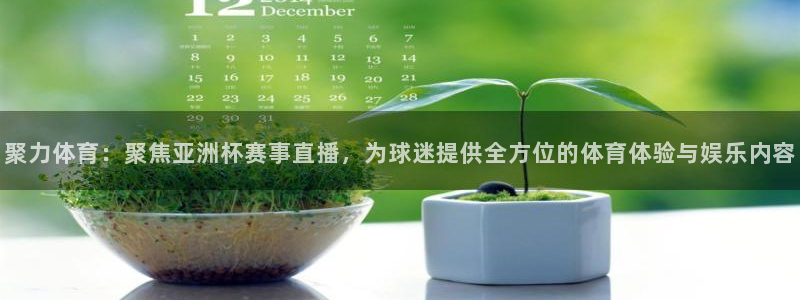 聚力体育：聚焦亚洲杯赛事直播，为球迷提供全方位的体育体验与娱乐内容