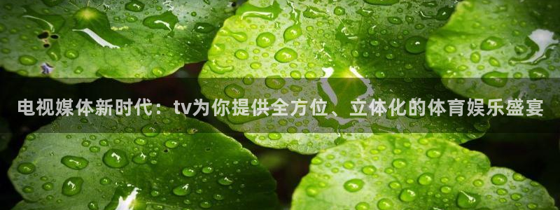 电视媒体新时代：tv为你提供全方位、立体化的体育娱乐盛宴