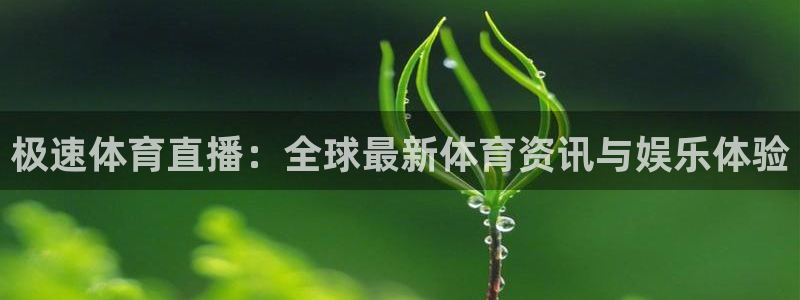 极速体育直播：全球最新体育资讯与娱乐体验