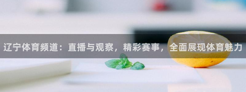 辽宁体育频道：直播与观察，精彩赛事，全面展现体育魅力