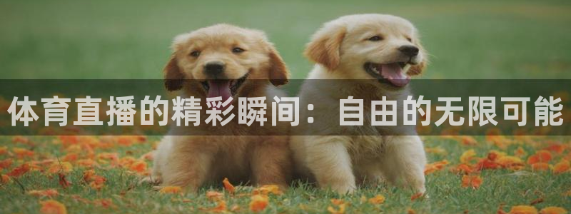 体育直播的精彩瞬间：自由的无限可能