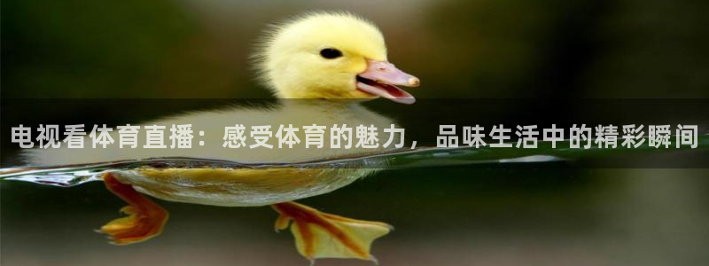 电视看体育直播：感受体育的魅力，品味生活中的精彩瞬间