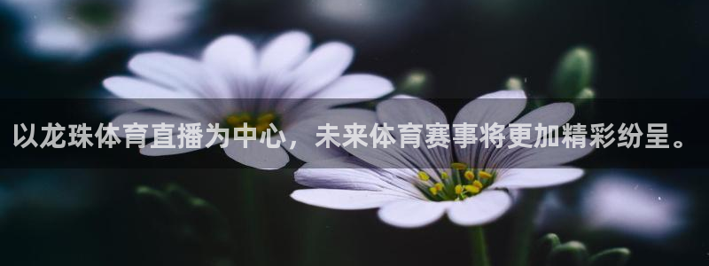以龙珠体育直播为中心，未来体育赛事将更加精彩纷呈。