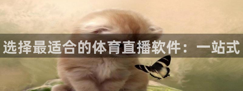 选择最适合的体育直播软件：一站式