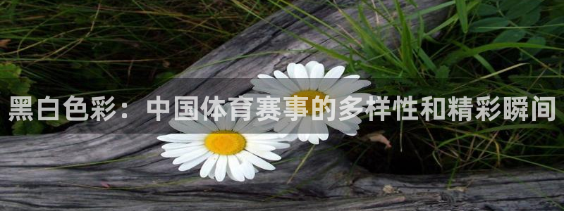 黑白色彩：中国体育赛事的多样性和精彩瞬间