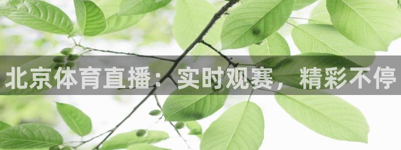 北京体育直播：实时观赛，精彩不停