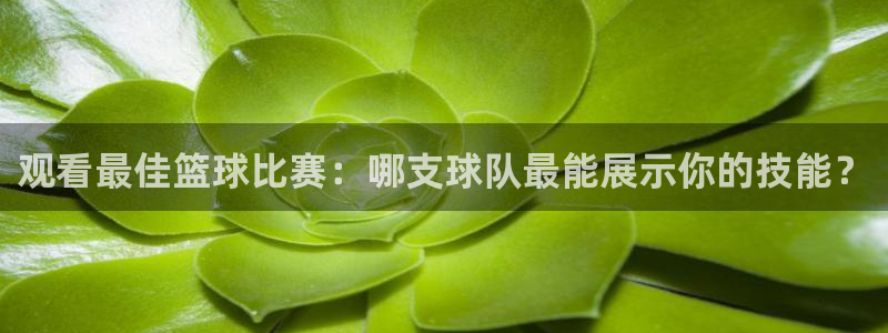 观看最佳篮球比赛：哪支球队最能展示你的技能？
