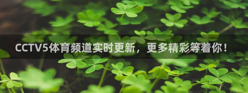 CCTV5体育频道实时更新，更多精彩等着你！