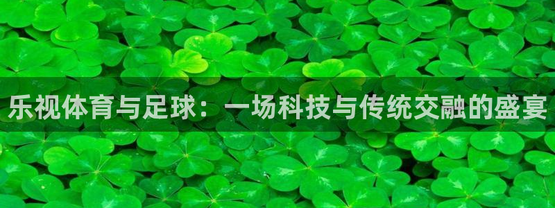 乐视体育与足球：一场科技与传统交融的盛宴