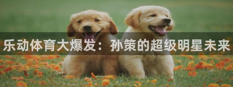 乐动体育大爆发：孙策的超级明星未来