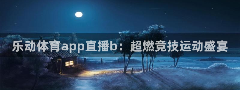 乐动体育app直播b：超燃竞技运动盛宴