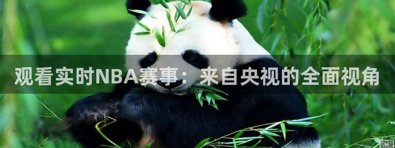 观看实时NBA赛事：来自央视的全面视角