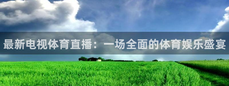 最新电视体育直播：一场全面的体育娱乐盛宴