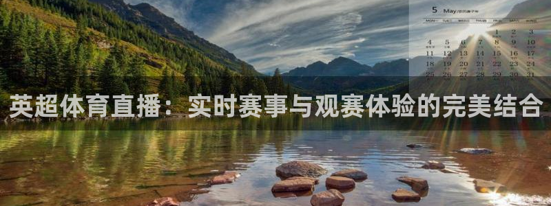 英超体育直播：实时赛事与观赛体验的完美结合